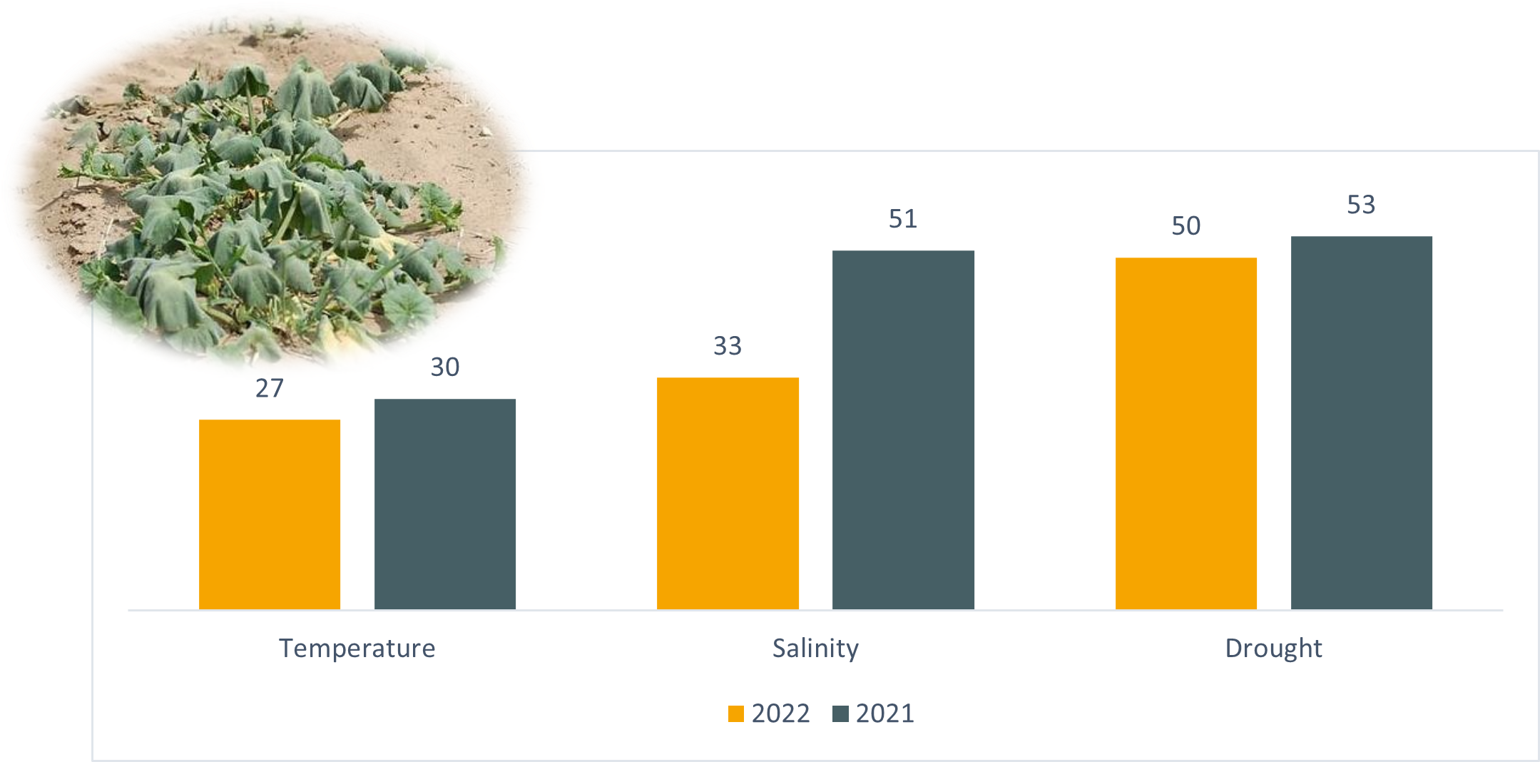 Breakdown by abiotic stress