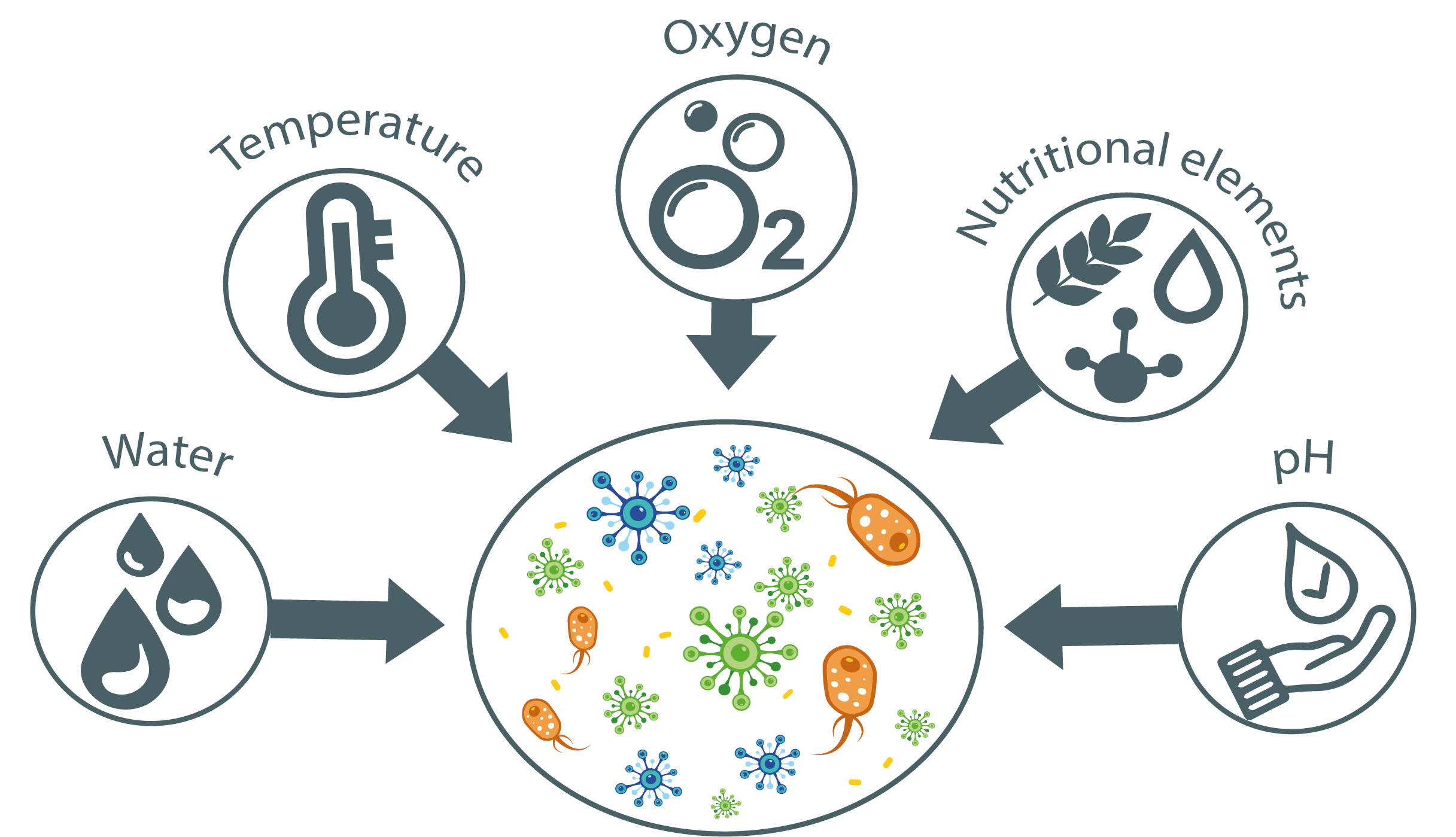 How to increase micro-organisms development