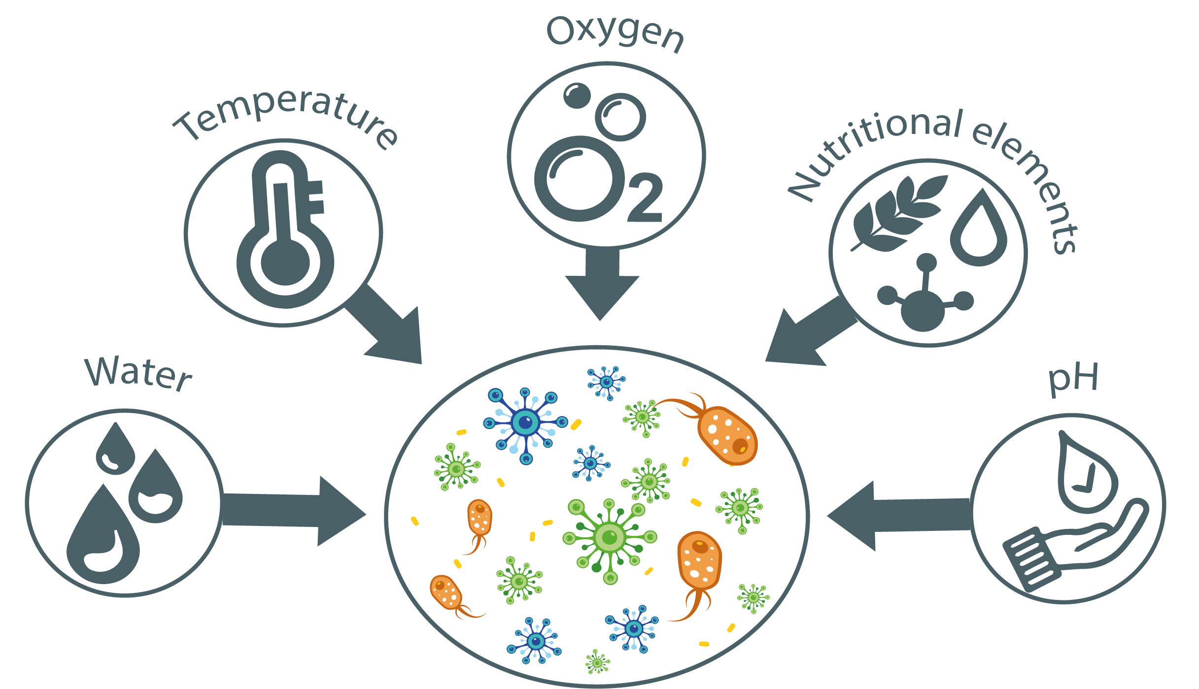 How to increase micro-organisms development