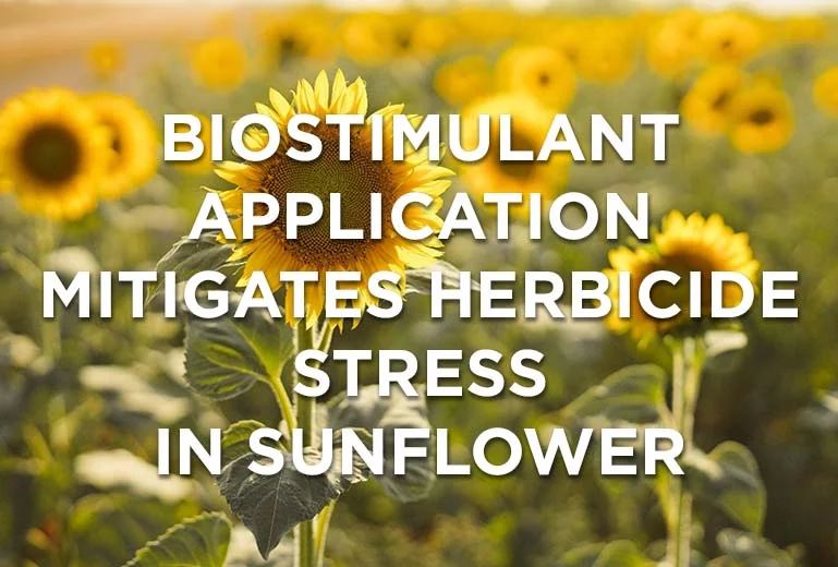 Biostimulant application