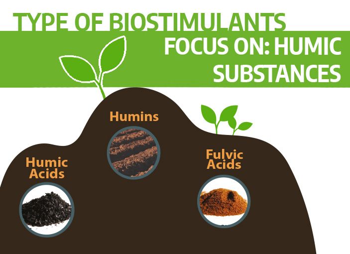 Blog48-Biostimulant Humic Substances