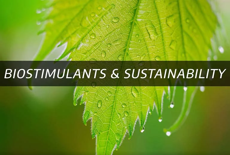 Biostimulants & Sustainability