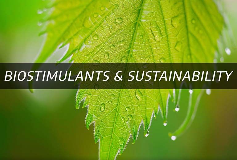 Biostimulants & Sustainability