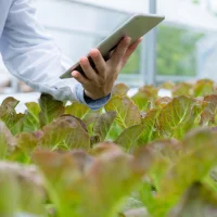 current assessment of the effectiveness of biostimulants