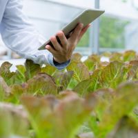 current assessment of the effectiveness of biostimulants