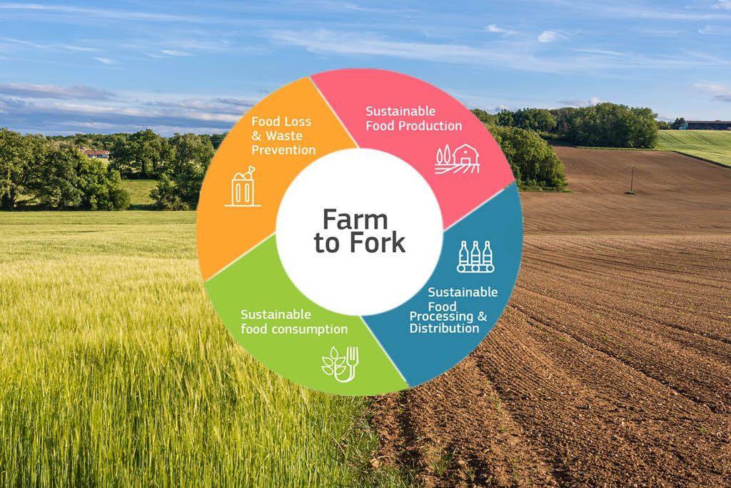 Blog 15 Farm to Fork