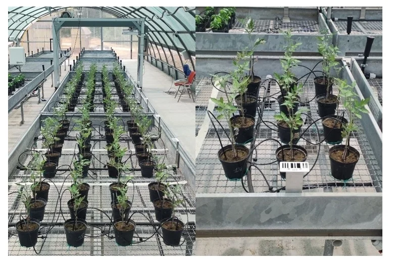 Experimental plots placed on the benches