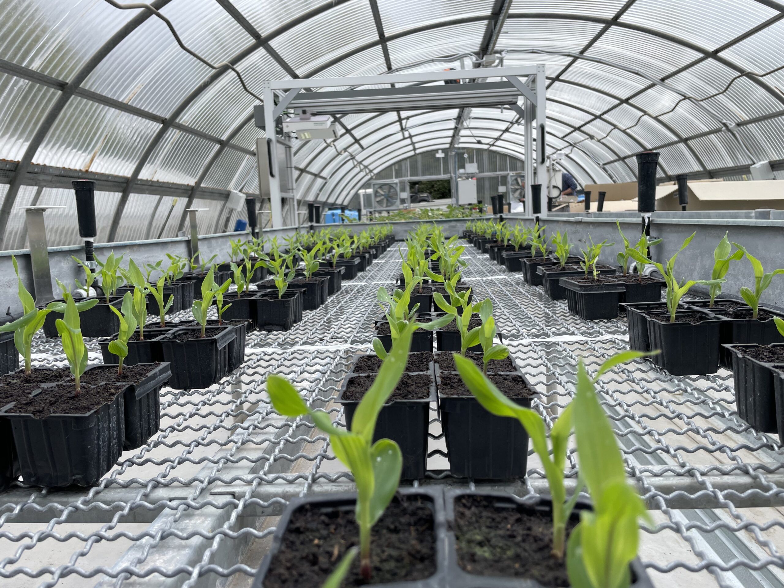 High-throughput phenotyping platform of Arcadia 