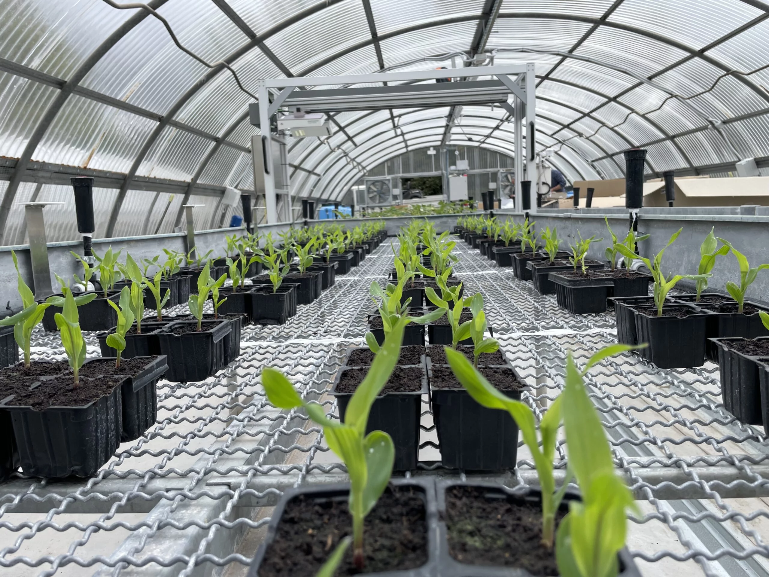 High-throughput phenotyping platform of Arcadia 