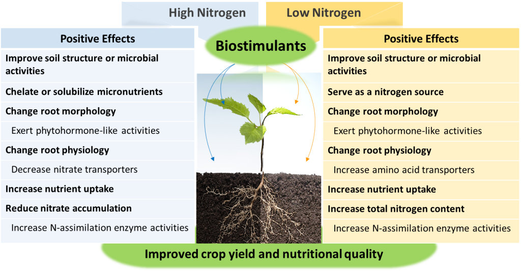 Biostimulants as a safeguard to plants against poor nitrogen supply