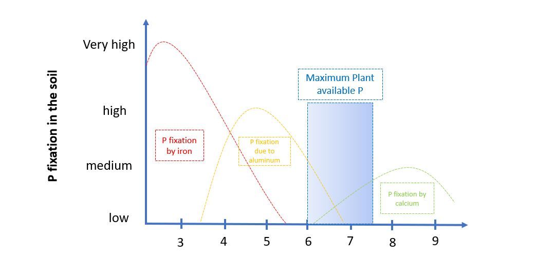 fig 6 Map of the most relevant researchers and research groups