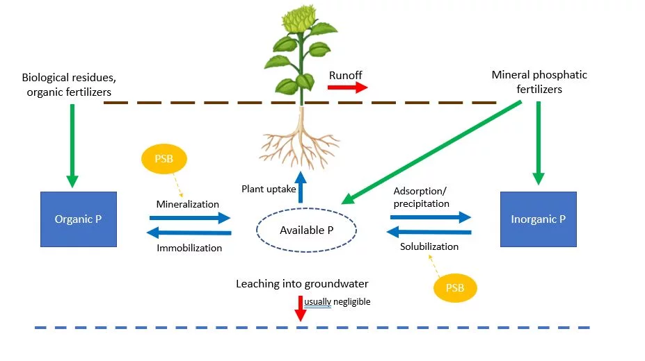 fig 6 Map of the most relevant researchers and research groups