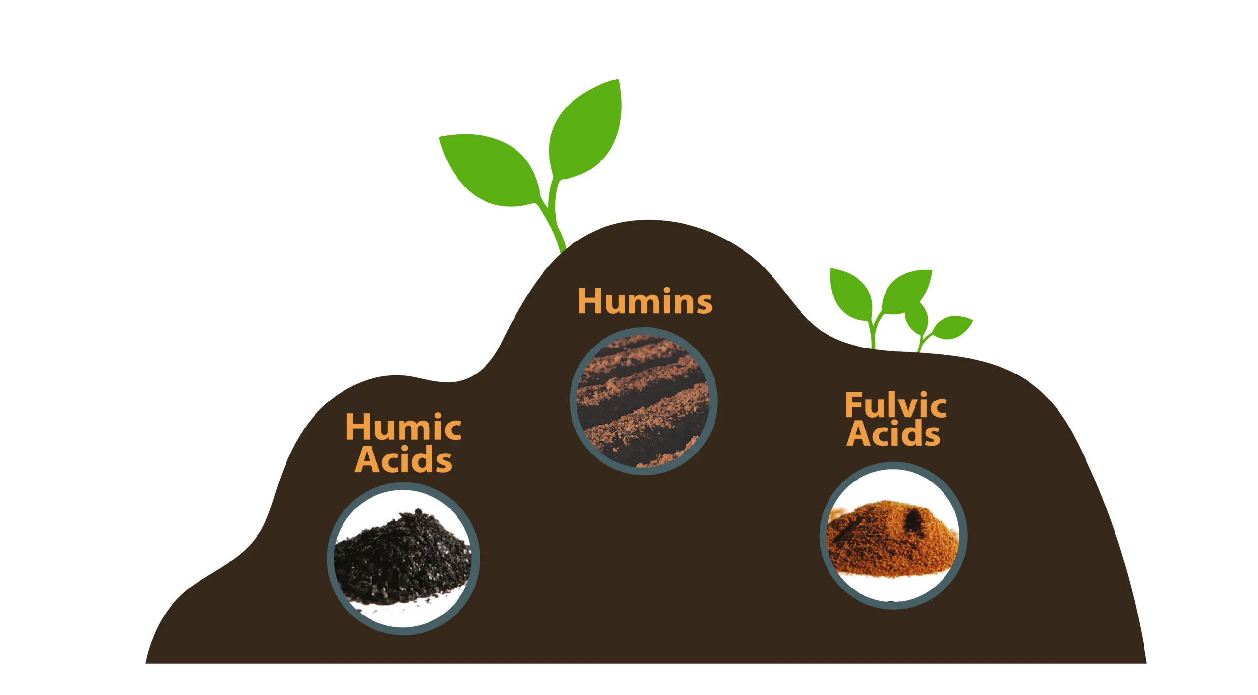 Humic-substances