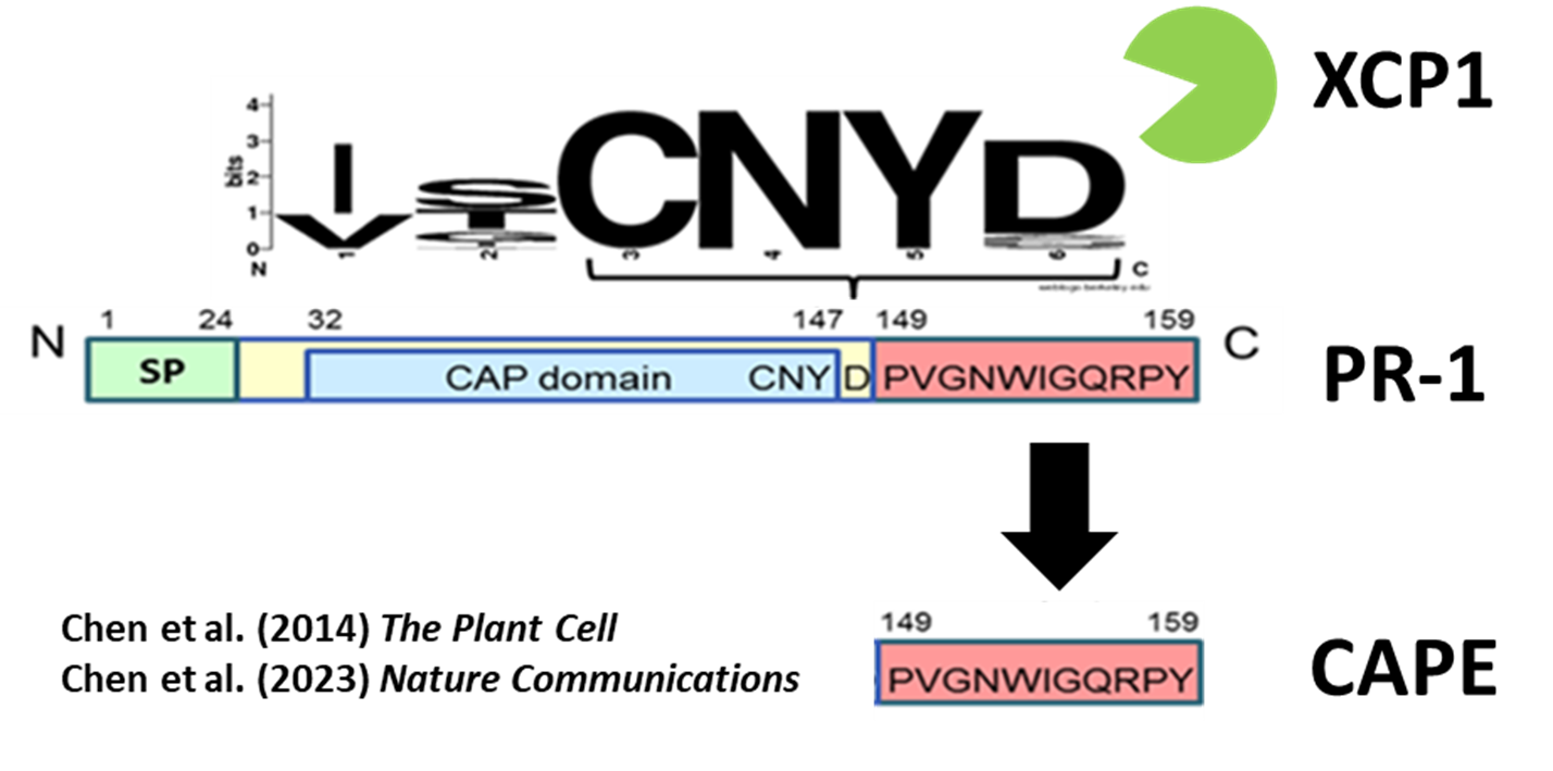 Experimental plots placed on the benches