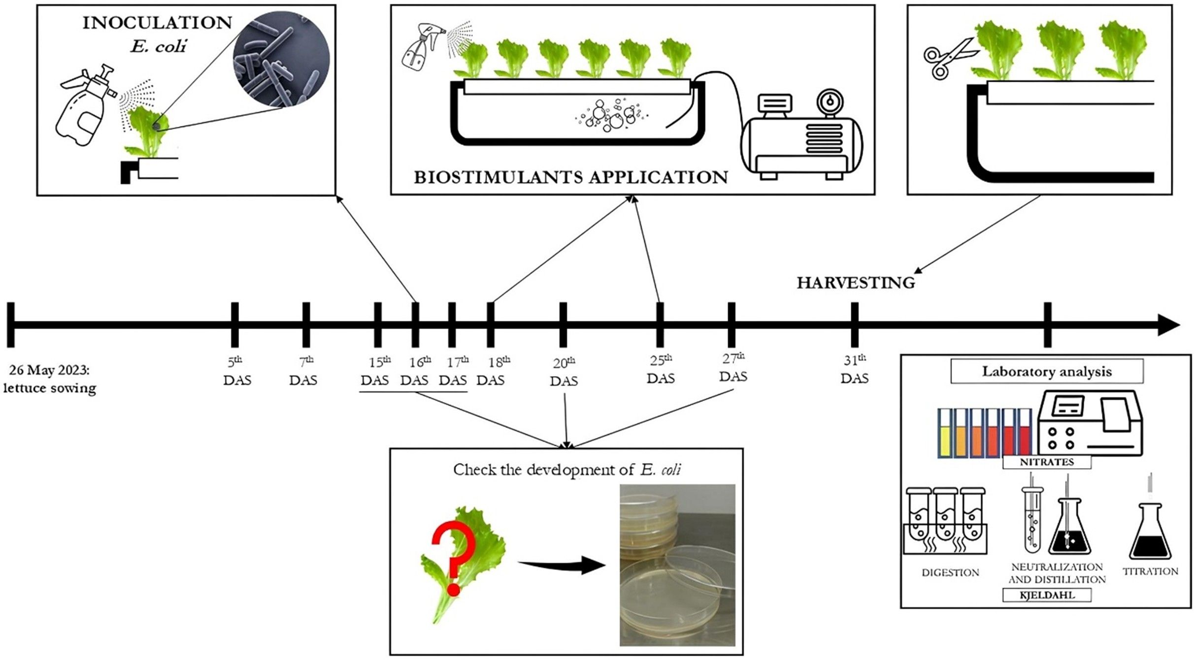 Experimental plots placed on the benches