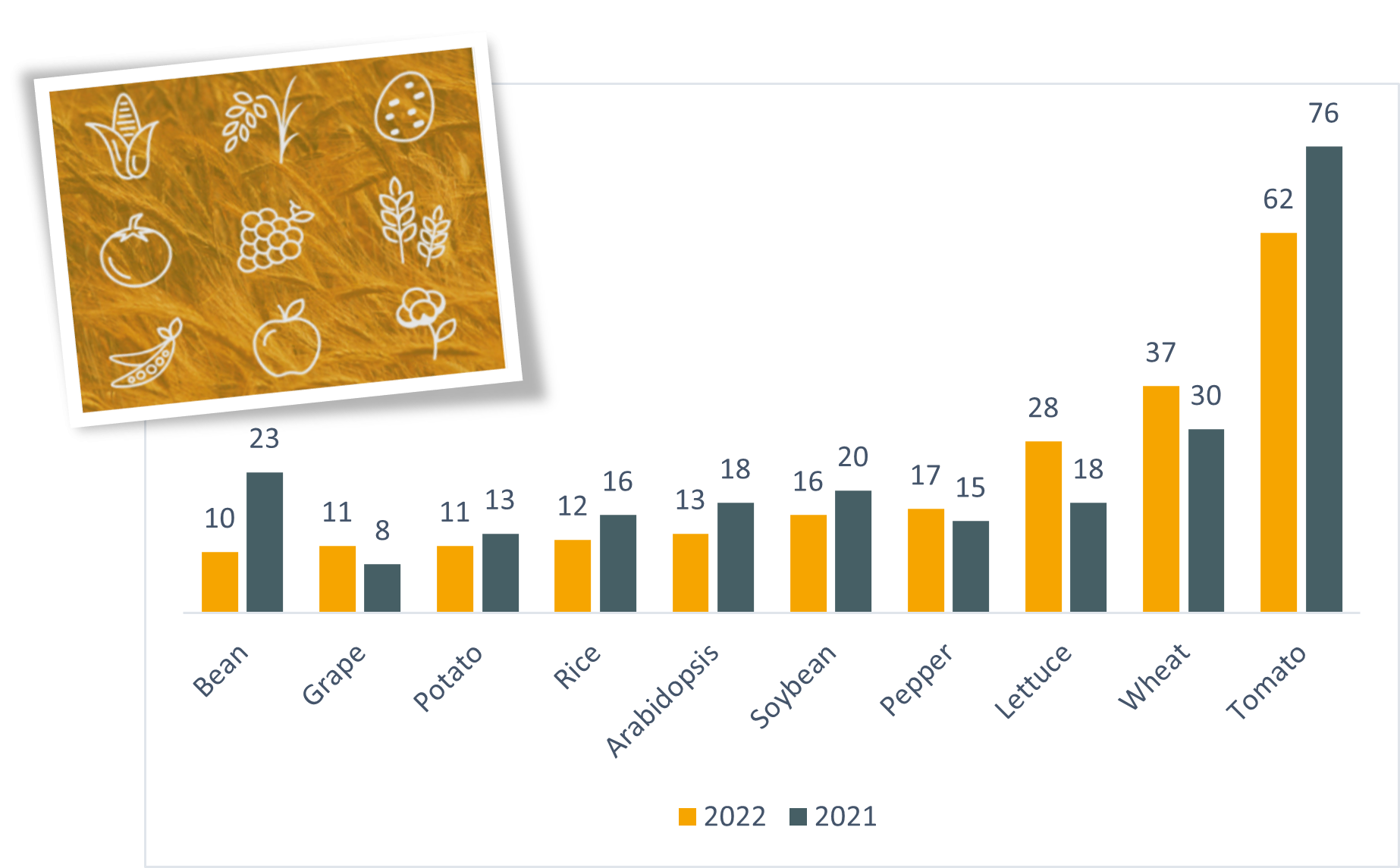 First 10 crops per scientific publications