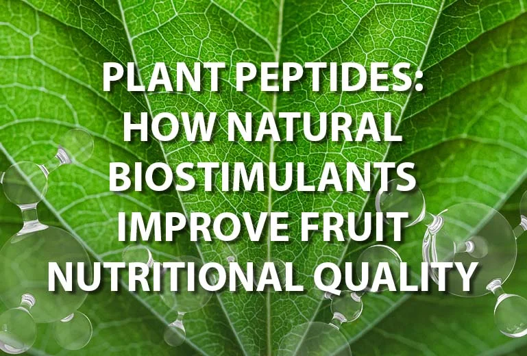 PLANT PEPTIDES: HOW NATURAL BIOSTIMULANTS IMPROVE FRUIT NUTRITIONAL QUALITY