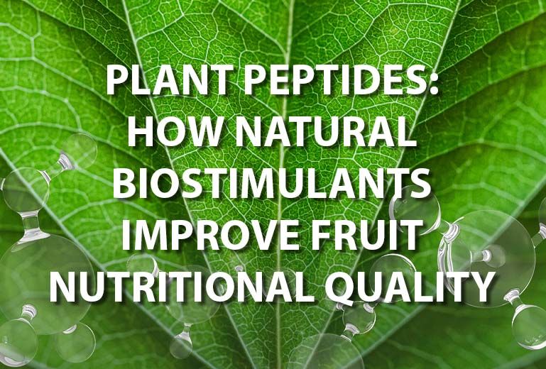 PLANT PEPTIDES: HOW NATURAL BIOSTIMULANTS IMPROVE FRUIT NUTRITIONAL QUALITY