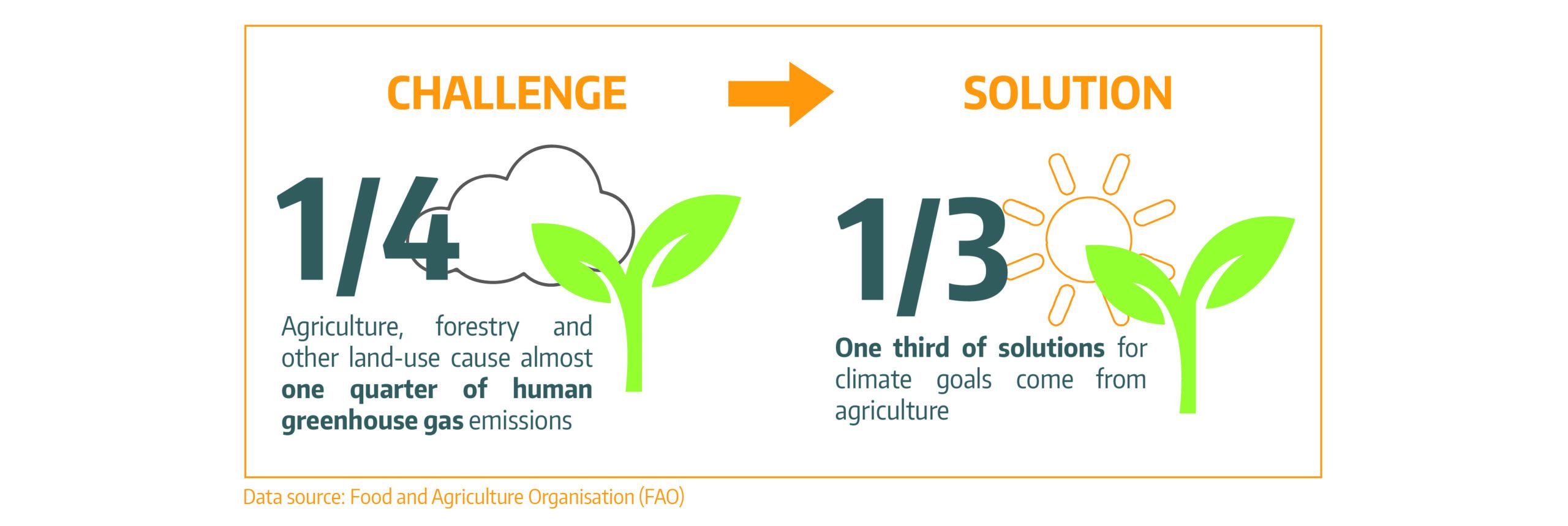 food_sécurity_scheme