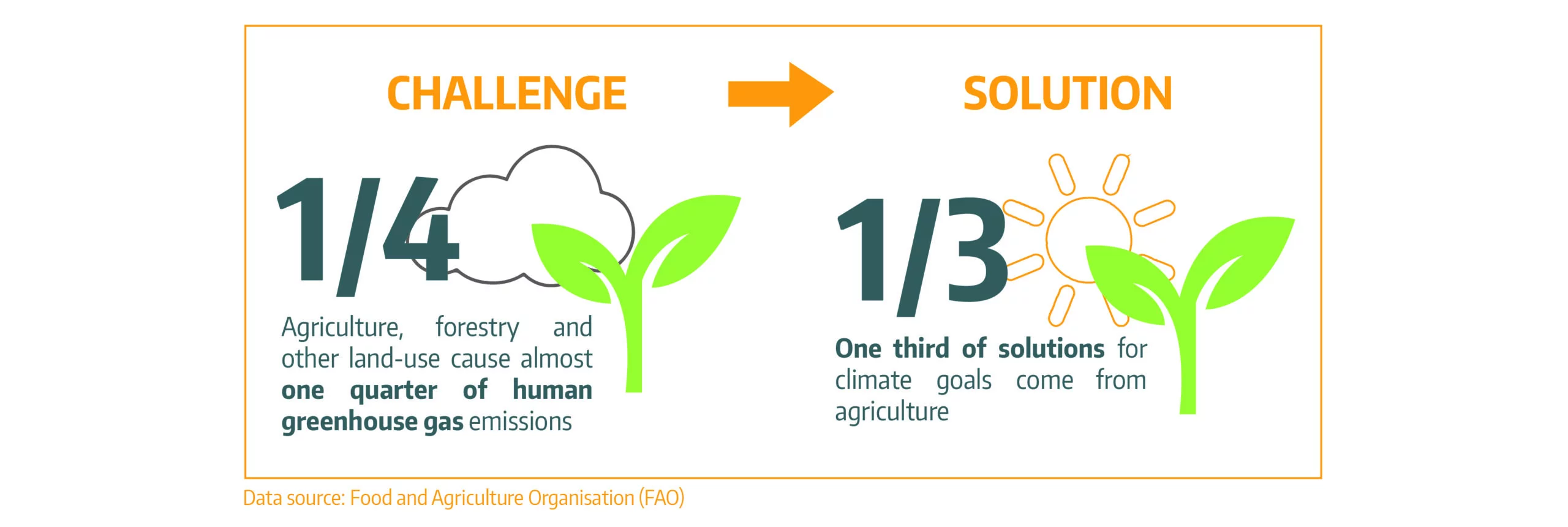 food_sécurity_scheme