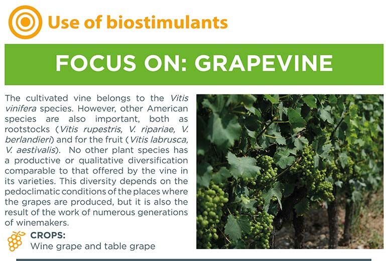 Importance of biostimulants for the next gen food chain