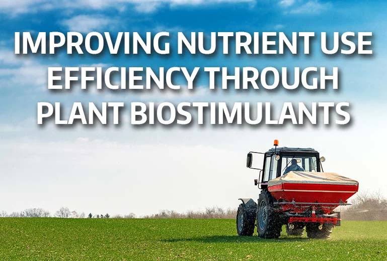 proving nutrient use efficiency through plant biostimulants