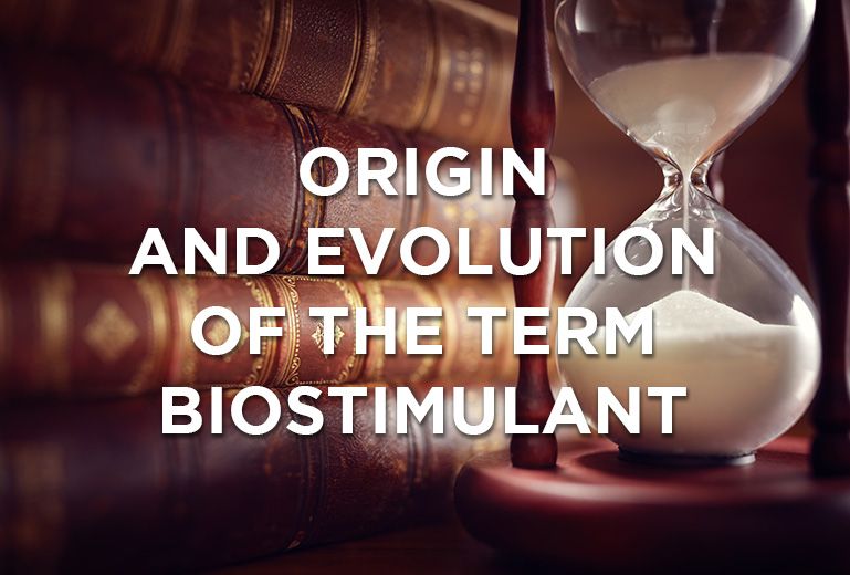 Origin and evolution of the term biostimulant