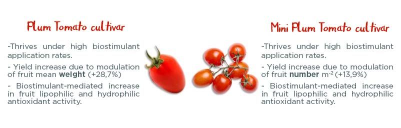 Biostimulants market in India