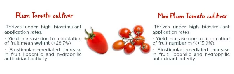 Biostimulants market in India